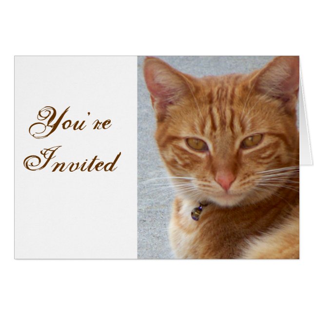 L'Amant du chat_ (Devant horizontal)