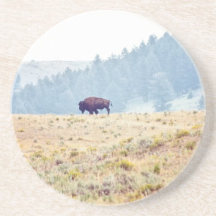 Lamar Getränkeuntersetzer