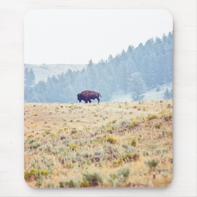 Lamar Mousepad (Vorne)