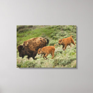 Lamar Tal-Miniansturm Leinwanddruck