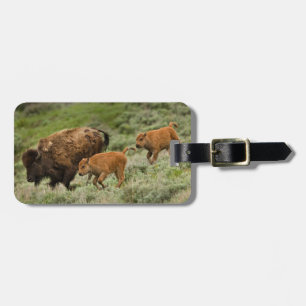 Lamar Valley Mini Stampede Gepäckanhänger