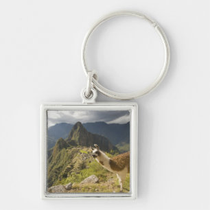 Lamas und ein Ausblick auf Machu Picchu, Schlüsselanhänger