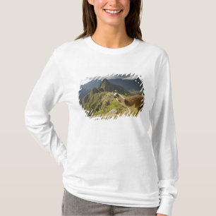 Lamas und ein Ausblick auf Machu Picchu, T-Shirt