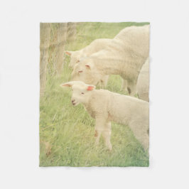Lamb Baby Animals Sheep Fleecedecke