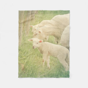 Lamb Baby Farm Animes Sheep Fleecedecke