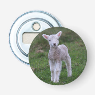 Lamb Baby Sheep Farm Flaschenöffner