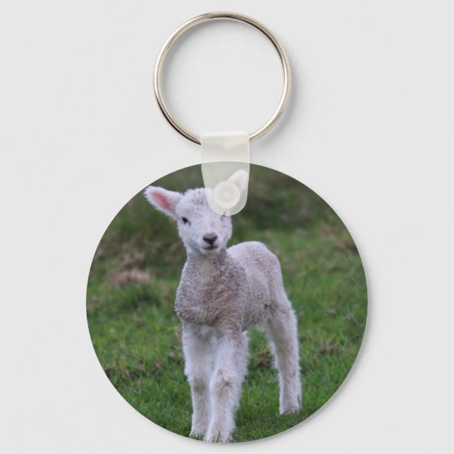 Lamb Baby Sheep Farm Schlüsselanhänger (Vorderseite)