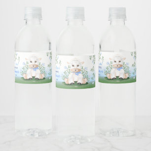 Lamb Blue Floral Baby Dusche