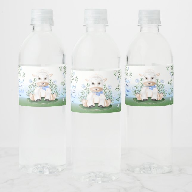 Lamb Blue Floral Baby Dusche (Flaschen)