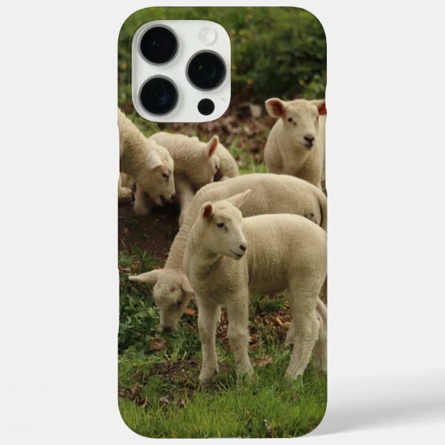 Lamb  iPhone 16 pro max hülle (Rückseite)