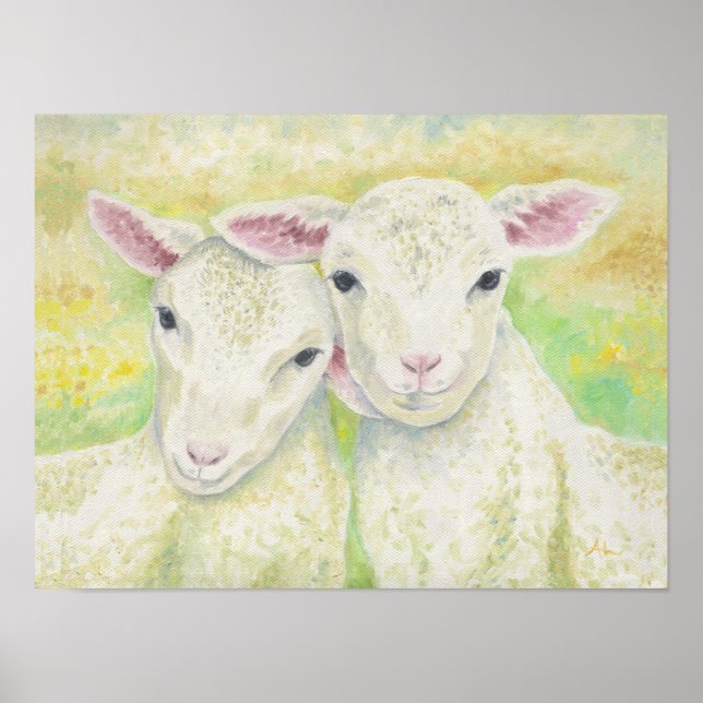 Lamb Pair Poster (Vorne)