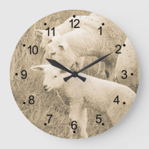 Lamb-Schafe Große Wanduhr