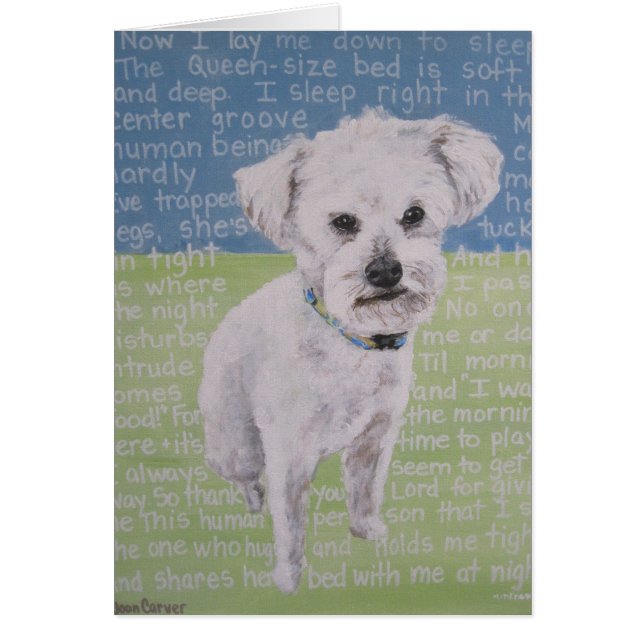 ‚Lambchop‘ (Vorne)