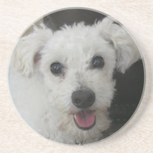 Lambchop der Pudel Sandstein Untersetzer