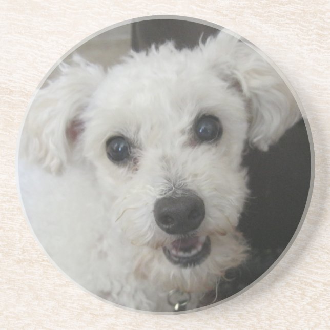 Lambchop II Sandstein Untersetzer (Vorne)