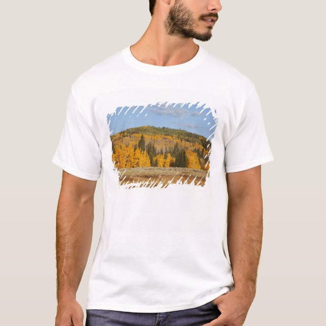 Lambert Hollow, Aspen T-Shirt (Vorderseite)