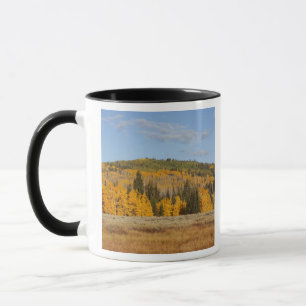 Lambert Hollow, Aspen Tasse