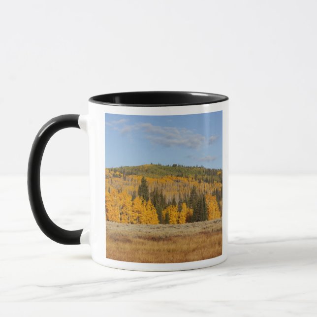 Lambert Hollow, Aspen Tasse (Links)