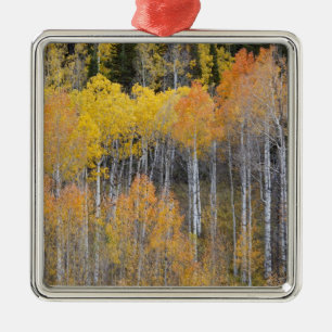 Lambert Hollow, Espen Silbernes Ornament