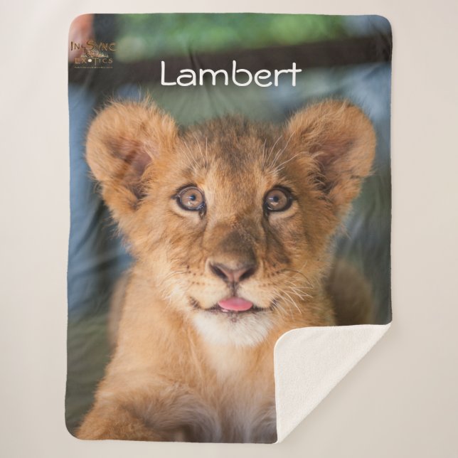 Lambert Sherpadecke (Vorderseite)