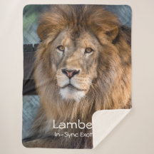 Lambert - 