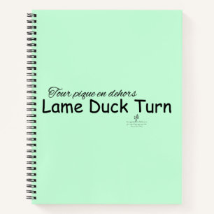 Lame Duck Turn Minze Green und Black Notebook Notizbuch