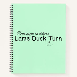 Lame Duck Turn Minze Green und Black Notebook Notizbuch