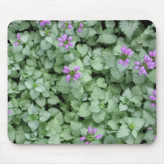 Lamium Mousepad (Vorne)