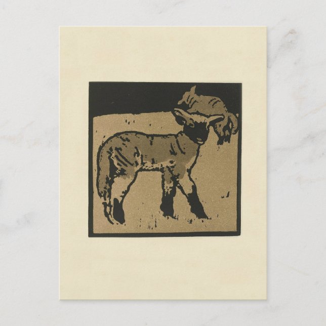 Lamm - Darstellung der Square Animals Postkarte (Vorderseite)