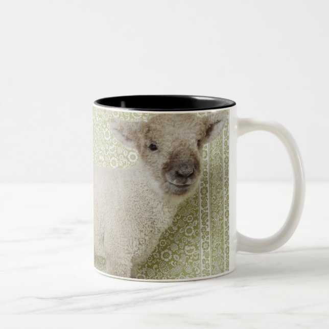 Lamm stehend zuhause und Blumentapete Zweifarbige Tasse (Rechts)