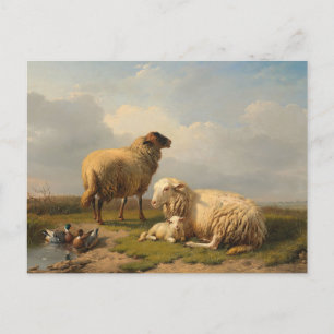 Lamm und Enten   Eugène Joseph Verboeckhoven Postkarte