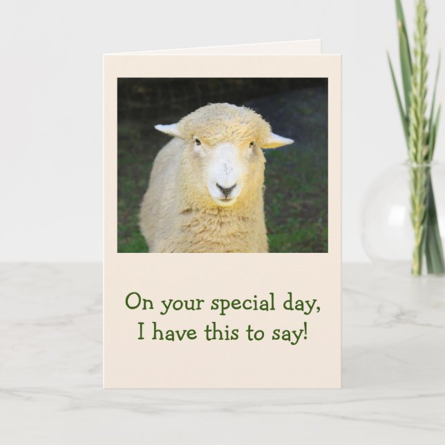 Lamm und Schafpoesie zum Geburtstag Karte (Vorderseite)