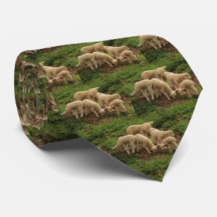 Lamm-Vieh auf grünem Gras Print Neck Tie Krawatte