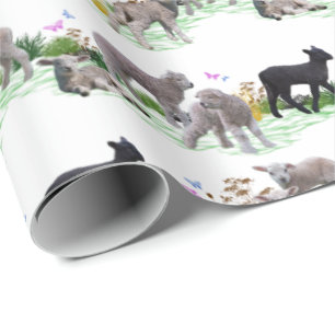 Lamm-Wiese-Wrapping Paper (Farbe auswählen) Geschenkpapier