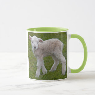 Lämmchen-Tasse Tasse