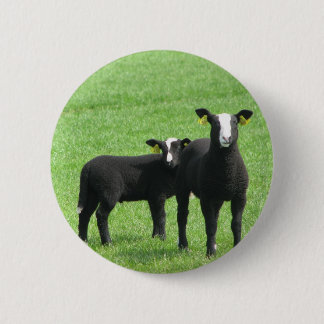 Lammetjes Button