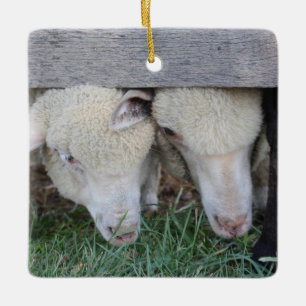 Lammverzierung Keramikornament