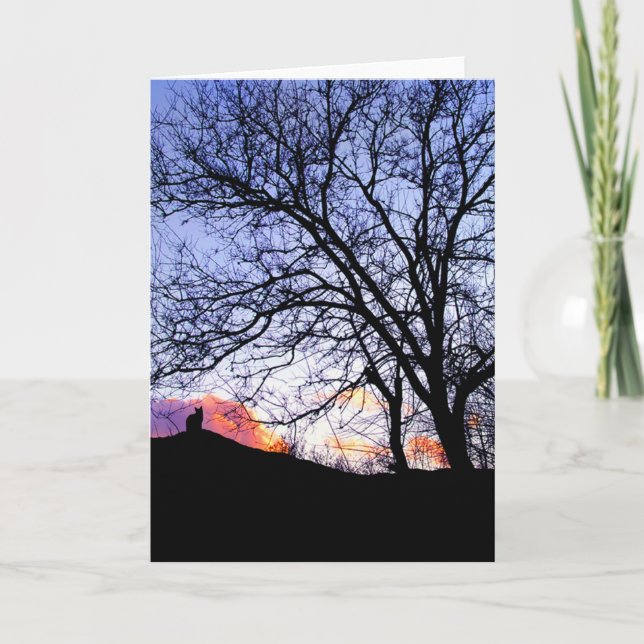 "L'amour au coucher du soleil" Perte d'une carte d (Devant)