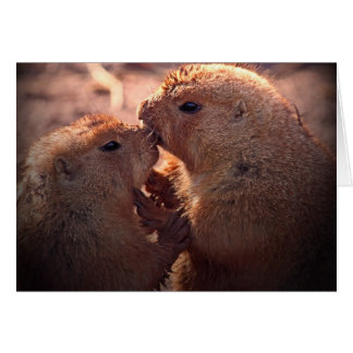 L'amour dans la prairie