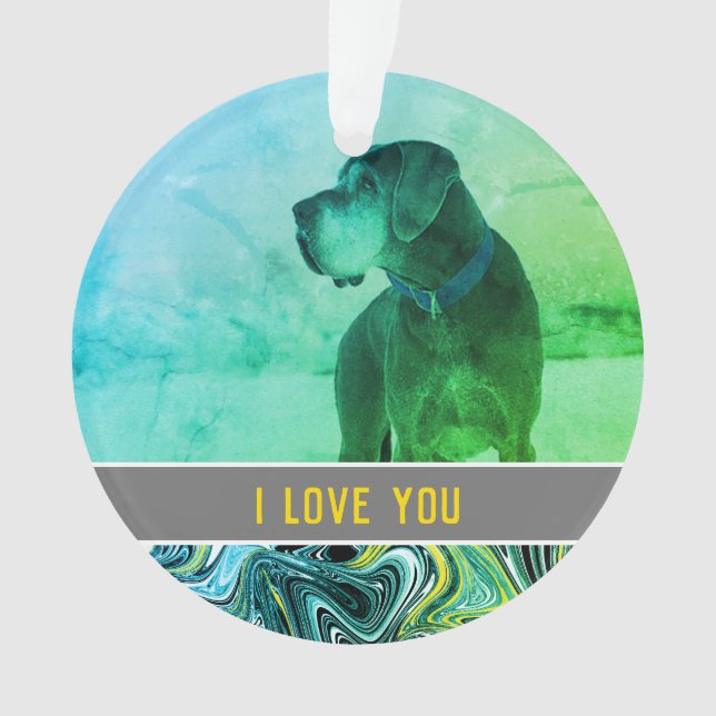 l'amour d'un chien (devant)