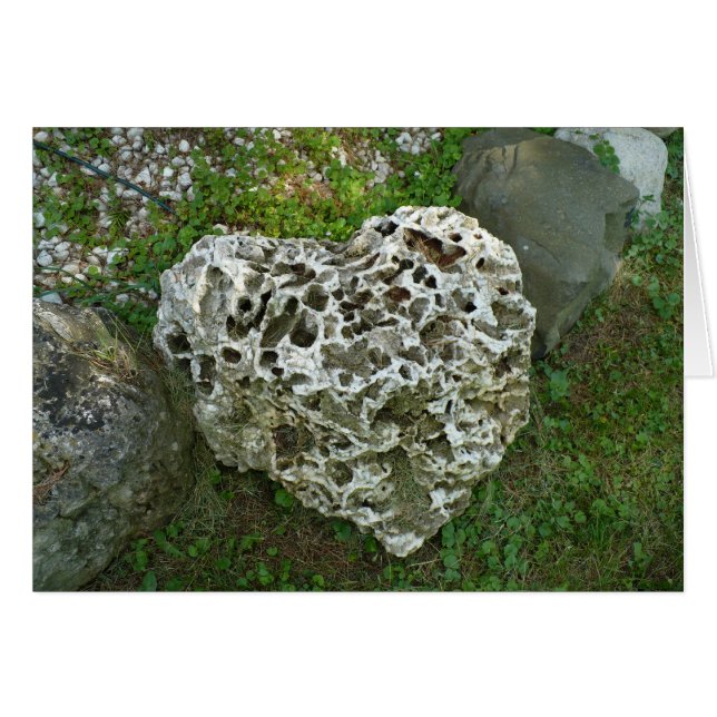 L'amour est comme un rocher (Devant Horizontal)