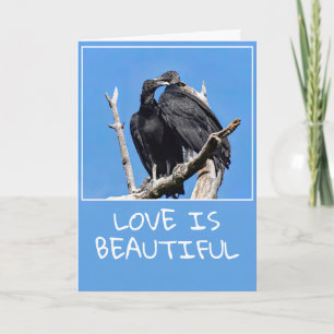 L'Amour Est De Belles Vautours Plié Carte De Vacan