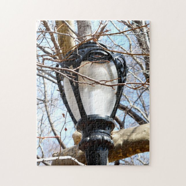 Lamp Post New York Central Park (Vertikal)