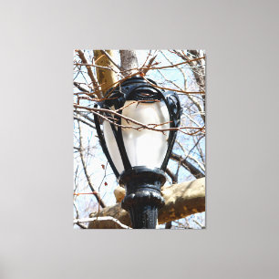 Lamp Post New York Central Park Leinwanddruck