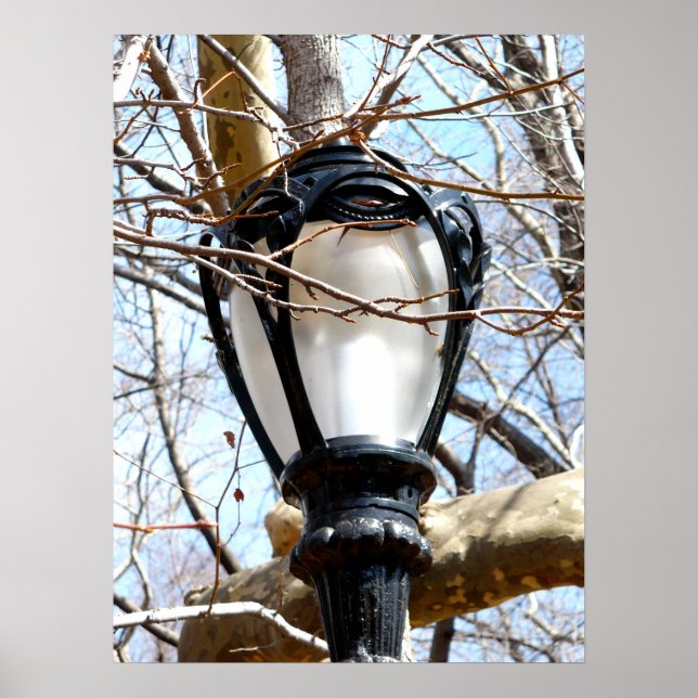 Lamp Post New York Central Park Poster (Vorne)