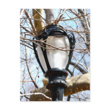 Lamp Post New York Central Park
