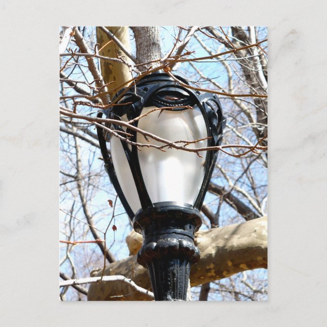 Lamp Post New York Central Park Postkarte (Vorderseite)