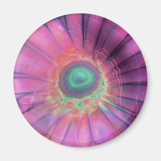 Lampadaire rose Verre Daisy Blank Trippy Magnet