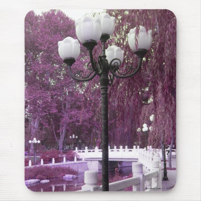 Lampe im Changan Park-Mauspad Mousepad (Vorne)
