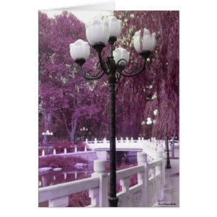 Lampe in Changan Park Card